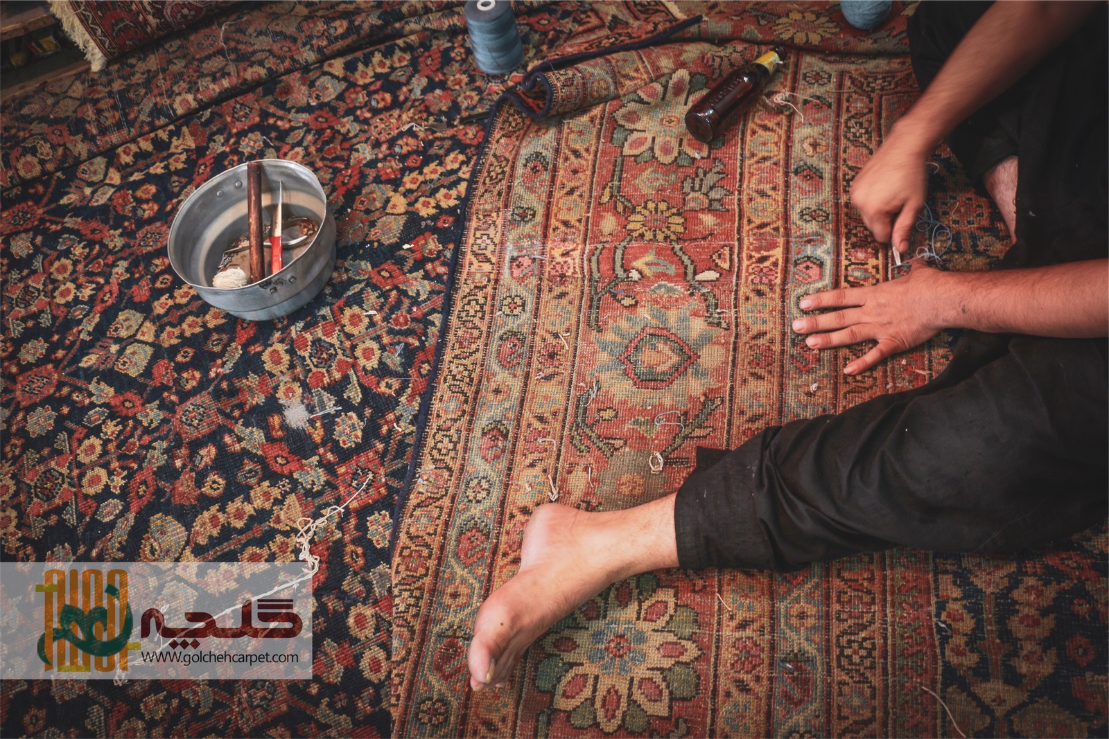 تلاش برای جاودانگی