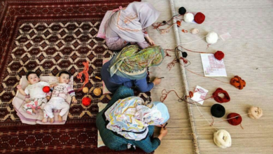 Photo of قالیبافان خراسان شمالی تحت پوشش بیمه اجتماعی کشاورزان قرار می گیرند