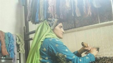 Photo of تلاش برای راه‌اندازی دهکده فرش در چهارمحال و بختیاری