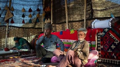 Photo of نقش پردازی قشقایی‌ ها از مهاجرت تا سکونت در فارس