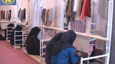 Photo of زنان شیروانی تمایلی برای کار در کارگاه‌ های قالیبافی را ندارند