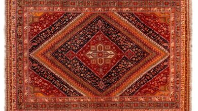 Photo of از نقشه وزیر مخصوص چه می‌دانید؟